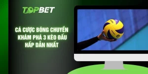Cá Cược Bóng Chuyền - Khám Phá 3 Kèo Đấu Hấp Dẫn Nhất