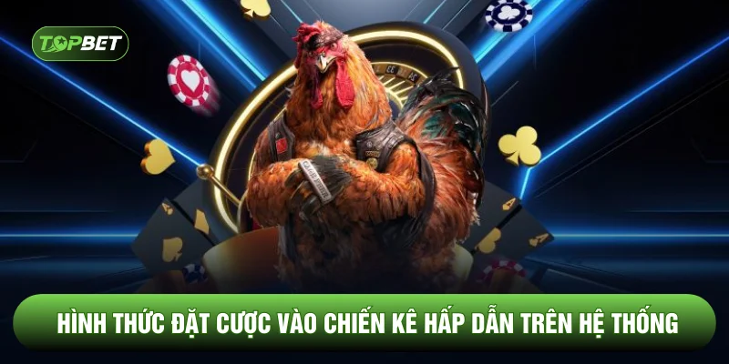 Hình thức đặt cược vào chiến kê hấp dẫn trên hệ thống